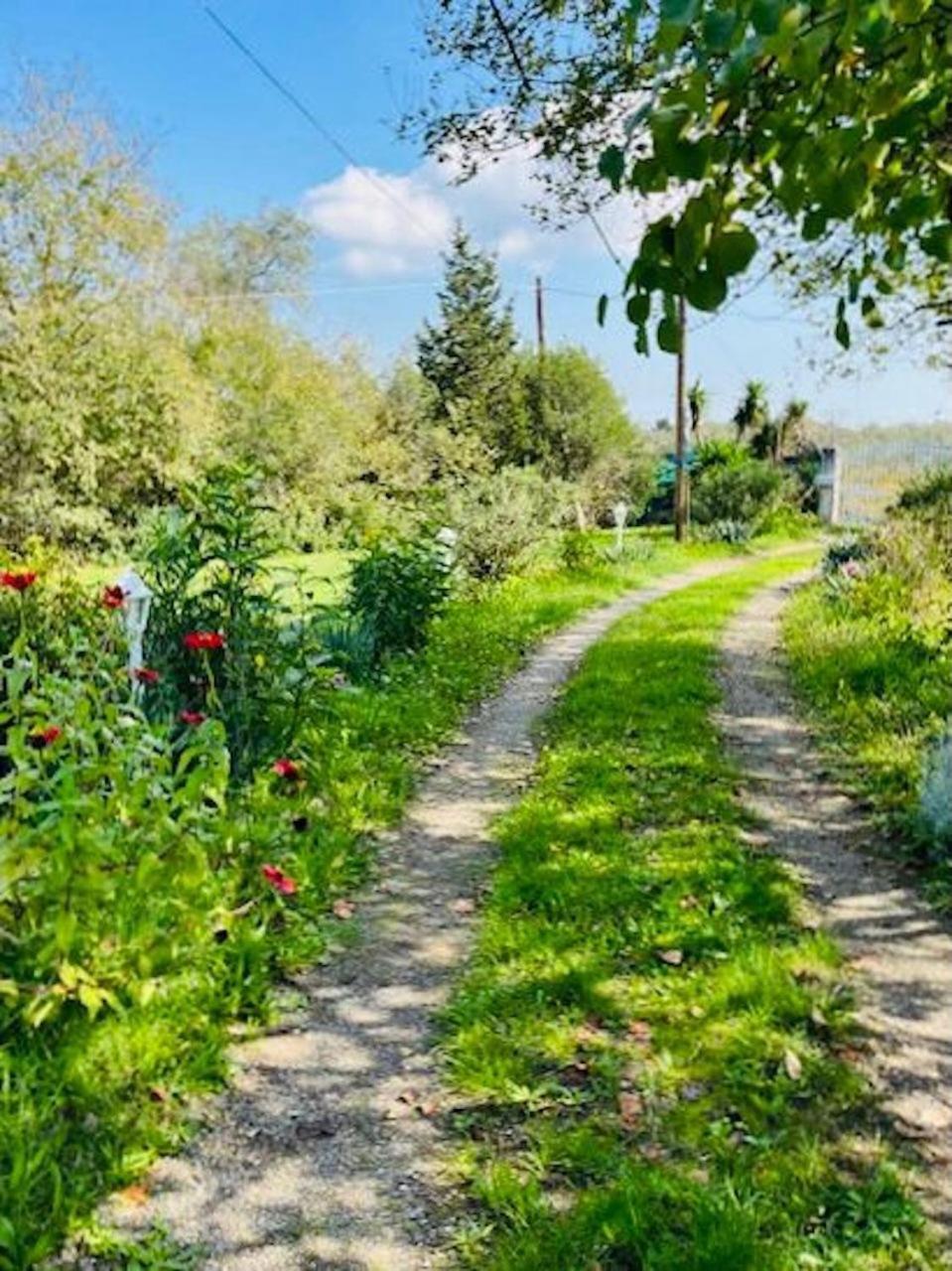 Cozy Corfu Bungalow 5 Minutes To Aqualand Agios Ioannis  Bagian luar foto